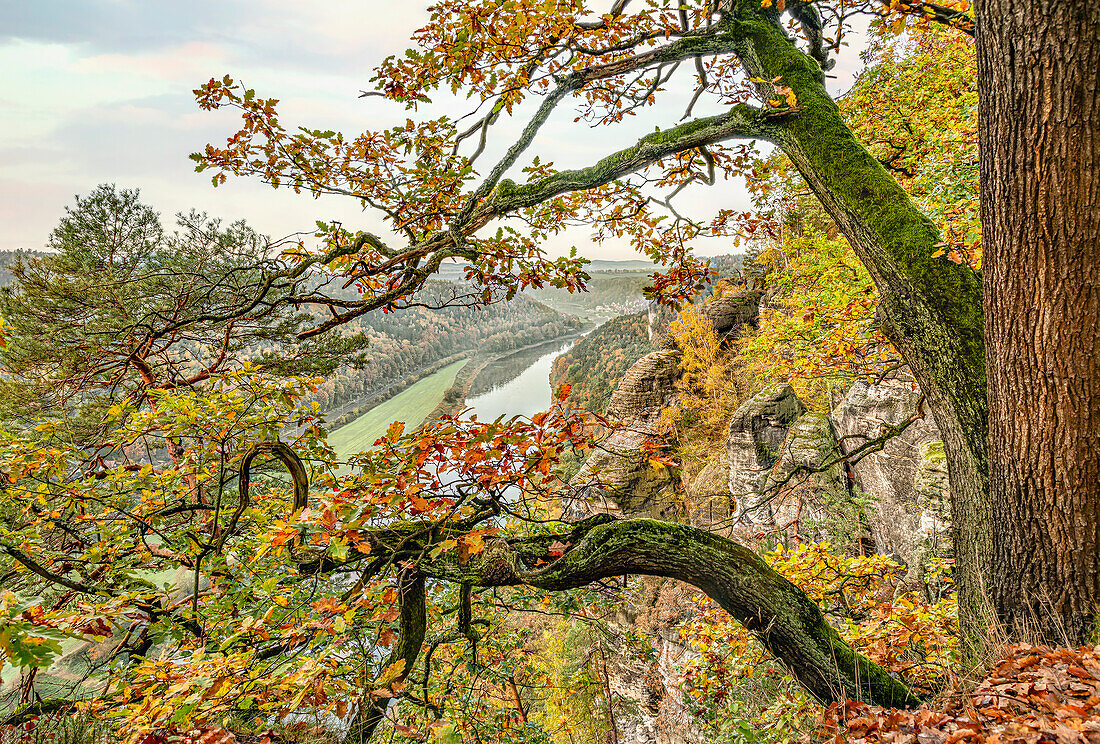 Aussicht vom Bastei Aussichtspunkt im Herbst, Sächsische Schweiz, Sachsen, Deutschland