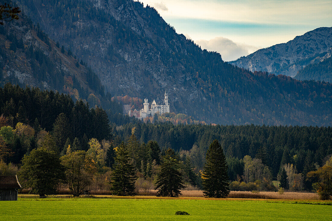 Das Schloss Neuschwanstein in der Landschaft des Schwangau, Allgäu, Bayern, Deutschland 