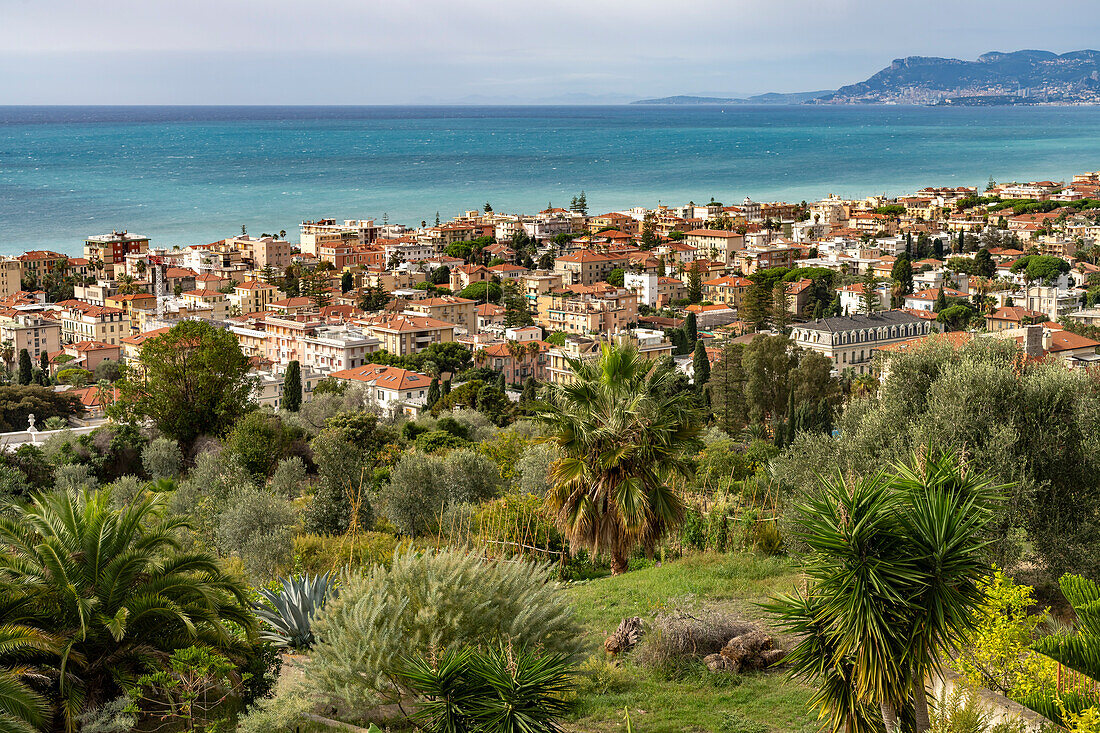 Blick über Bordighera und die Küste, Riviera di Ponente, Ligurien, Italien, Europa
