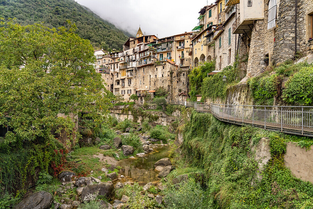 The medieval village of Rocchetta Nervina in the Val Nervia valley, Liguria, Italy, Europe
