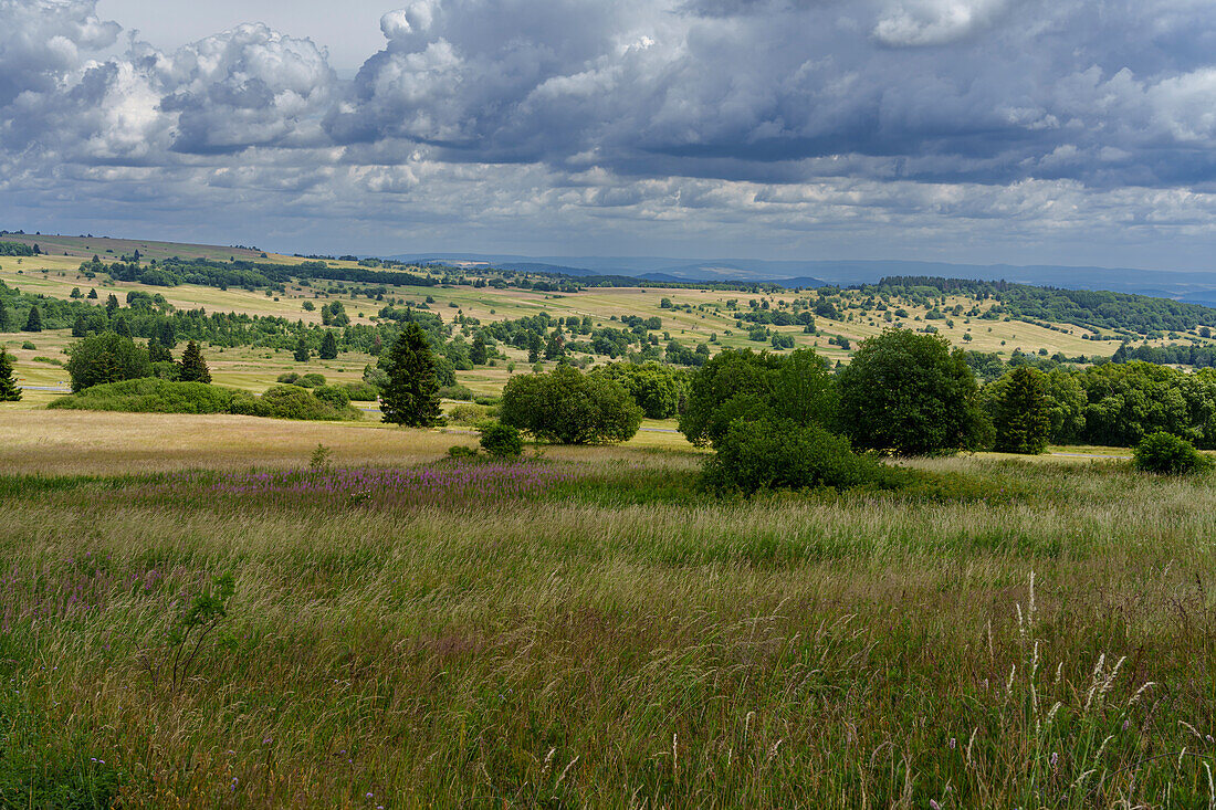 Rhön landscape at Heidelstein in the Long Rhön, Rhön Biosphere Reserve, Bavaria, Hesse, Germany