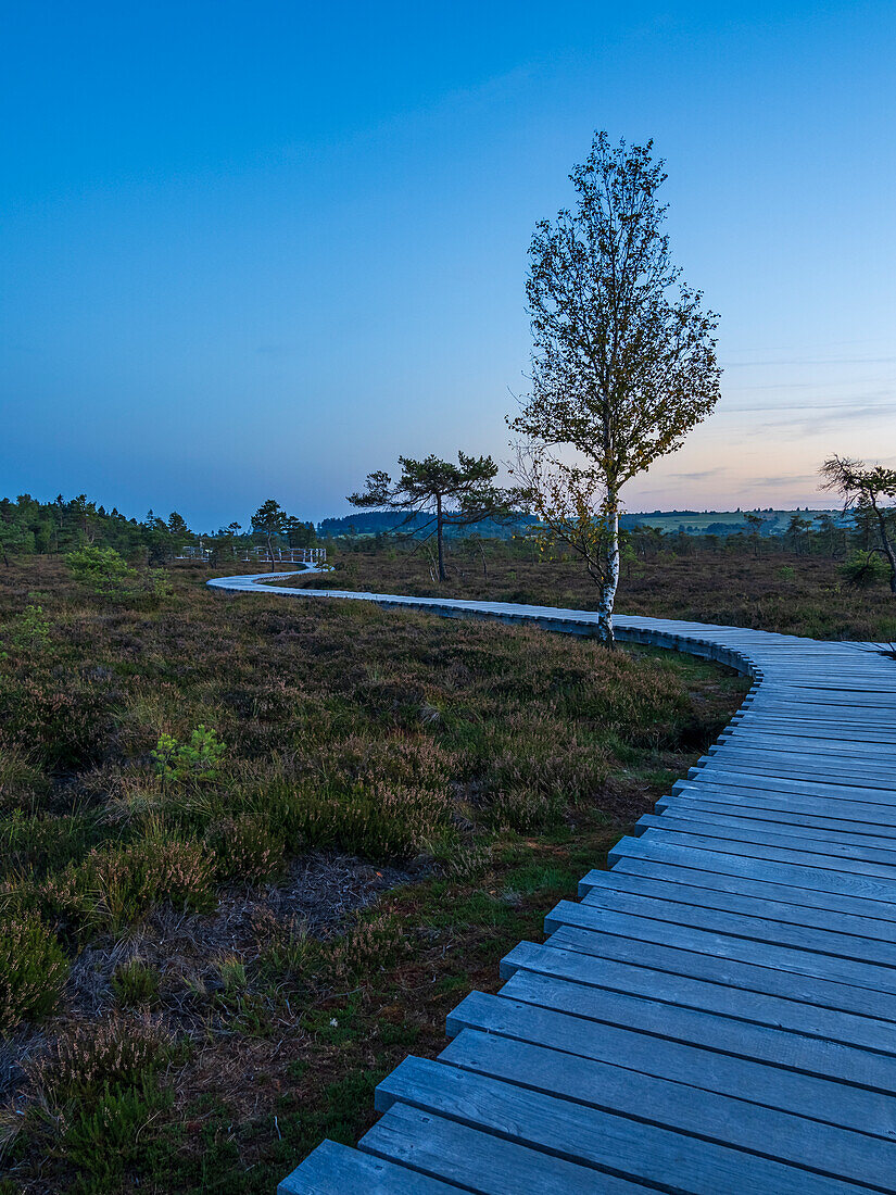 The “Schwarzes Moor” nature reserve in the evening light, Rhön Biosphere Reserve, Lower Franconia, Franconia, Bavaria, Germany