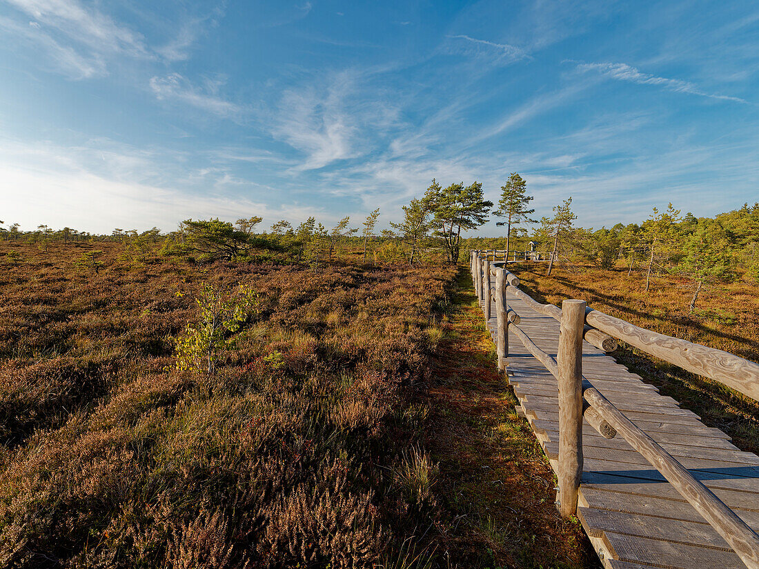 Das Naturschutzgebiet "Schwarzes Moor" im Abendlicht, Biosphärenreservat Rhön, Unterfranken, Franken, Bayern, Deutschland