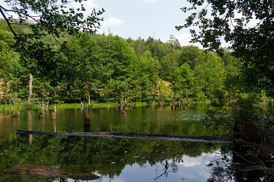 Lochbornsee nature reserve near the town of Bieber, municipality of Biebergemünd, Spessart Nature Park, Hesse, Bavaria, Germany