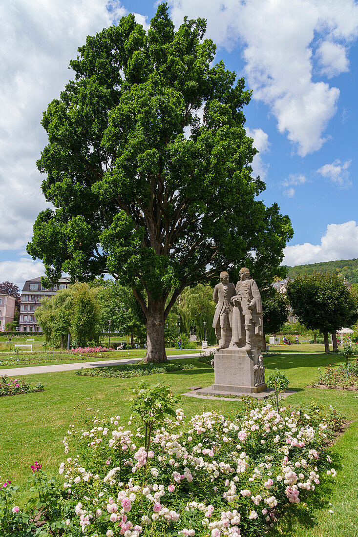 Kurpark and rose garden in the state spa Bad Kissingen, Lower Franconia, Franconia, Bavaria, Germany