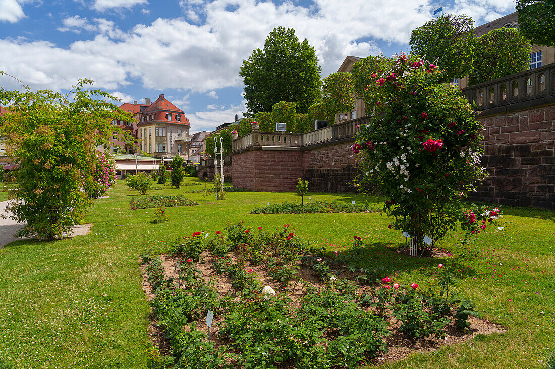 Kurpark und Rosengarten im Staatsbad Bad Kissingen, Unterfranken, Franken, Bayern, Deutschland