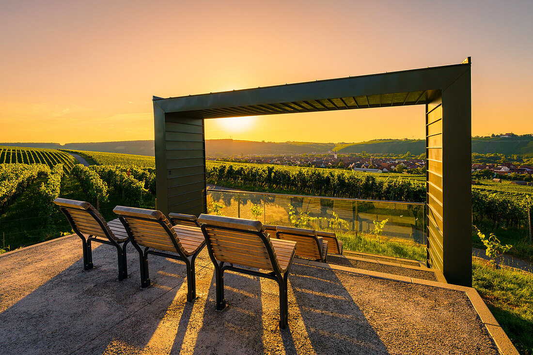 Sonnenuntergang am Weinkino in den Weinbergen der Weininsel beim Weinort Nordheim am Main an der Volkacher Mainschleife, Landkreis Kitzingen, Unterfanken, Franken, Bayern, Deutschland