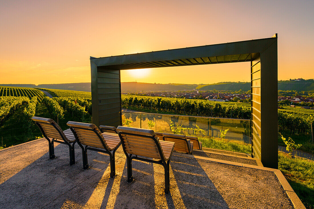 Sunset at the wine cinema in the vineyards of the wine island near the wine town of Nordheim am Main on the Volkacher Mainschleife, Kitzingen district, Lower Fanken, Franconia, Bavaria, Germany