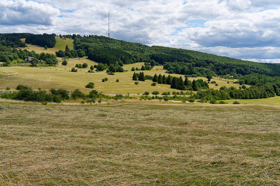 Der Arnsberg im Biosphärenreservat Rhön, Unterfranken, Franken, Bayern, Deutschland