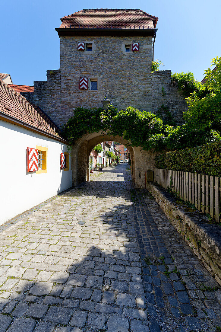Historische Altstadt von Sommerhausen am Main, Landkreis Würzburg, Franken, Unterfranken, Bayern, Deutschland                          