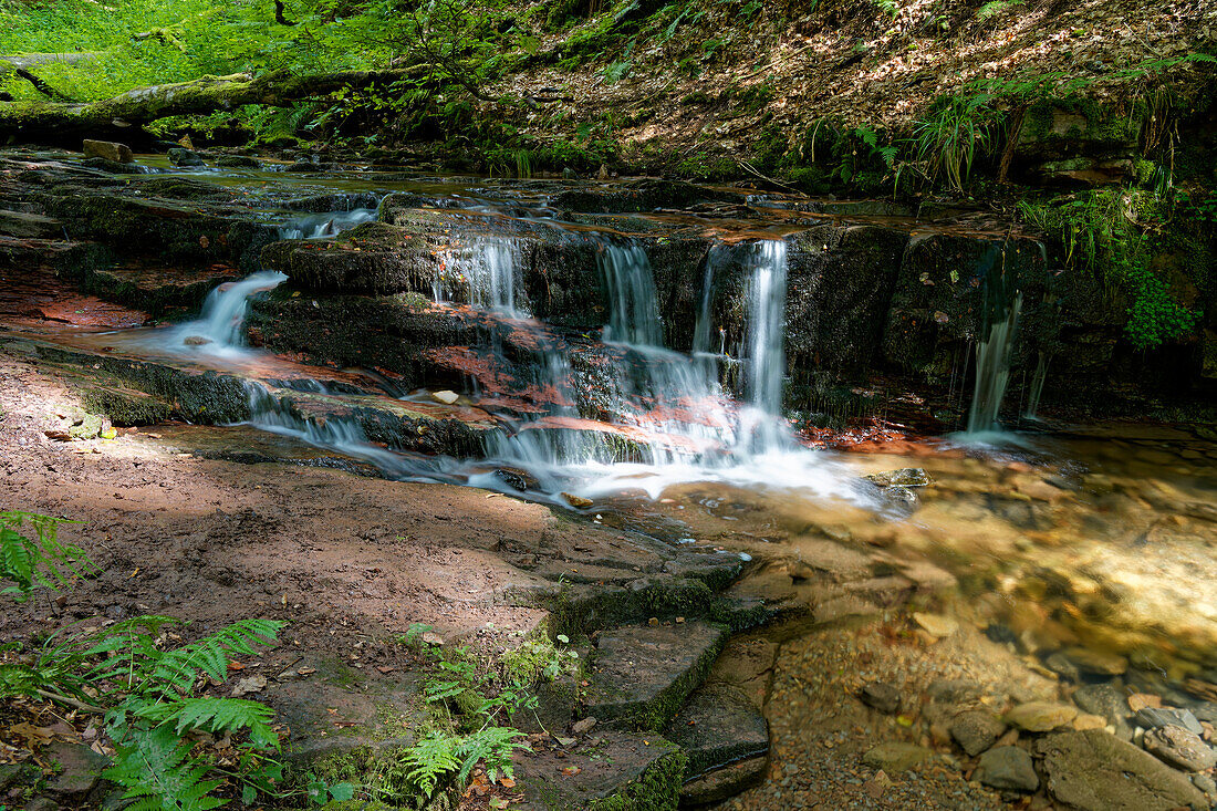 The Feldbach in the Cascade Gorge near Sandberg, town of Gersfeld, Rhön Biosphere Reserve, Hesse, Germany