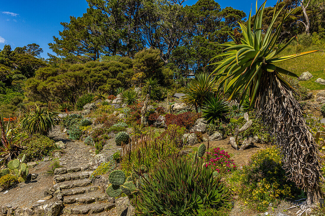 Blick auf den Wellington New Zealand Botanical Gardens, Wellington, Neuseeland