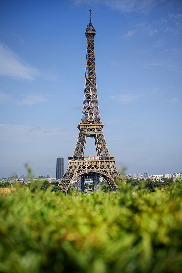 View from the Jardins du Trocadéro to the Eiffel Tower (Tour Eiffel), Paris, Île-de-France, France, Europe