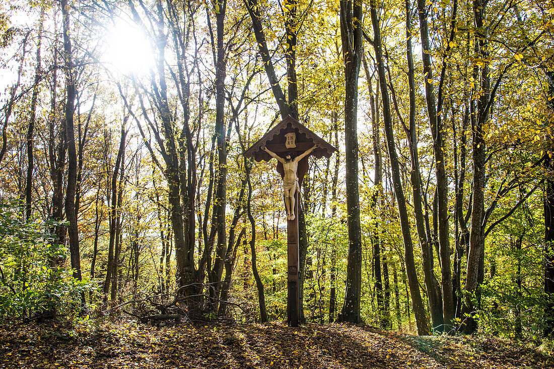 Augsburg Western Forests Nature Park, hiking area, here with Christ Cross on the path, Bavaria, Germany