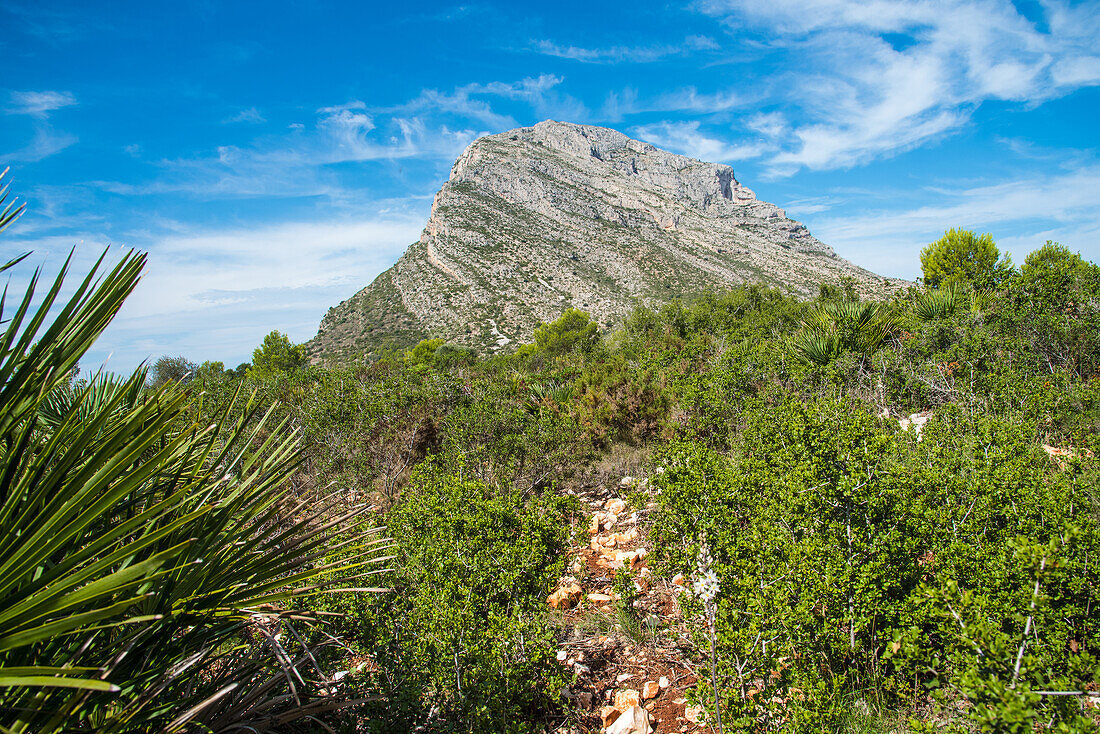 Autumn hike in Spain, through the maquis, on the Montgo mountain
