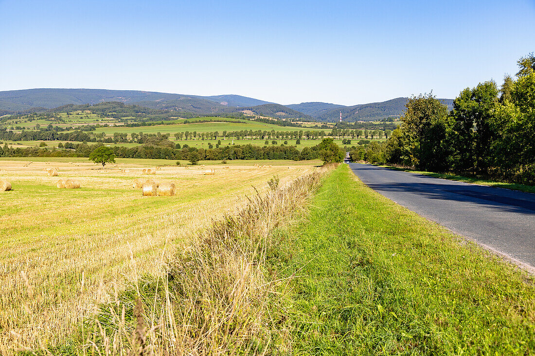 Hilly landscape with harvested grain fields and a view of the Giant Mountains near Miszkowice in the Dolnośląskie Voivodeship in Poland