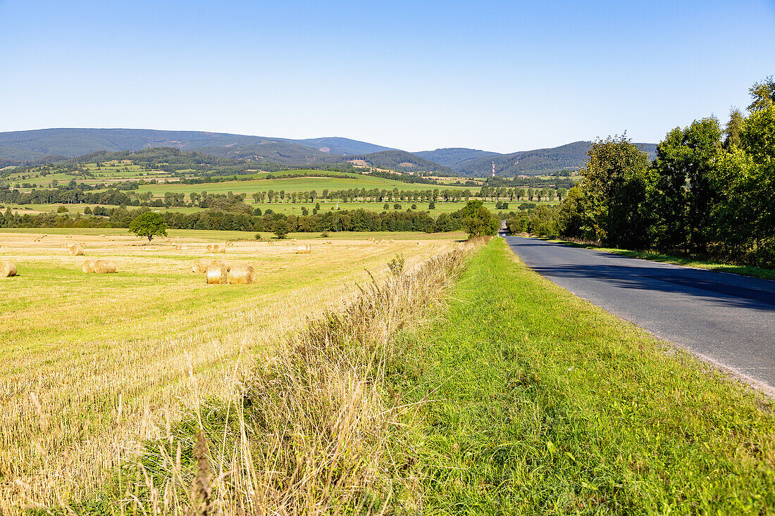 Hügellandschaft mit abgeernteten Getreidefeldern und Blick in das Riesengebirge bei Miszkowice in der Woiwodschaft Dolnośląskie in Polen