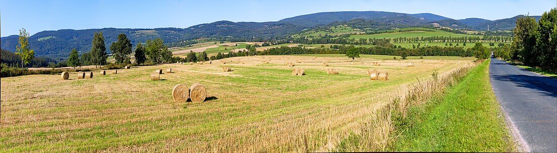Hügellandschaft mit abgeernteten Getreidefeldern und Blick in das Riesengebirge bei Miszkowice in der Woiwodschaft Dolnośląskie in Polen