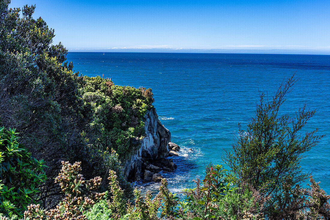 Blick auf den Abel-Tasman-Nationalpark von Wanderwegen im Park in der Nähe des Nelson Tasman Nationalpark auf der Südinsel Neuseeland