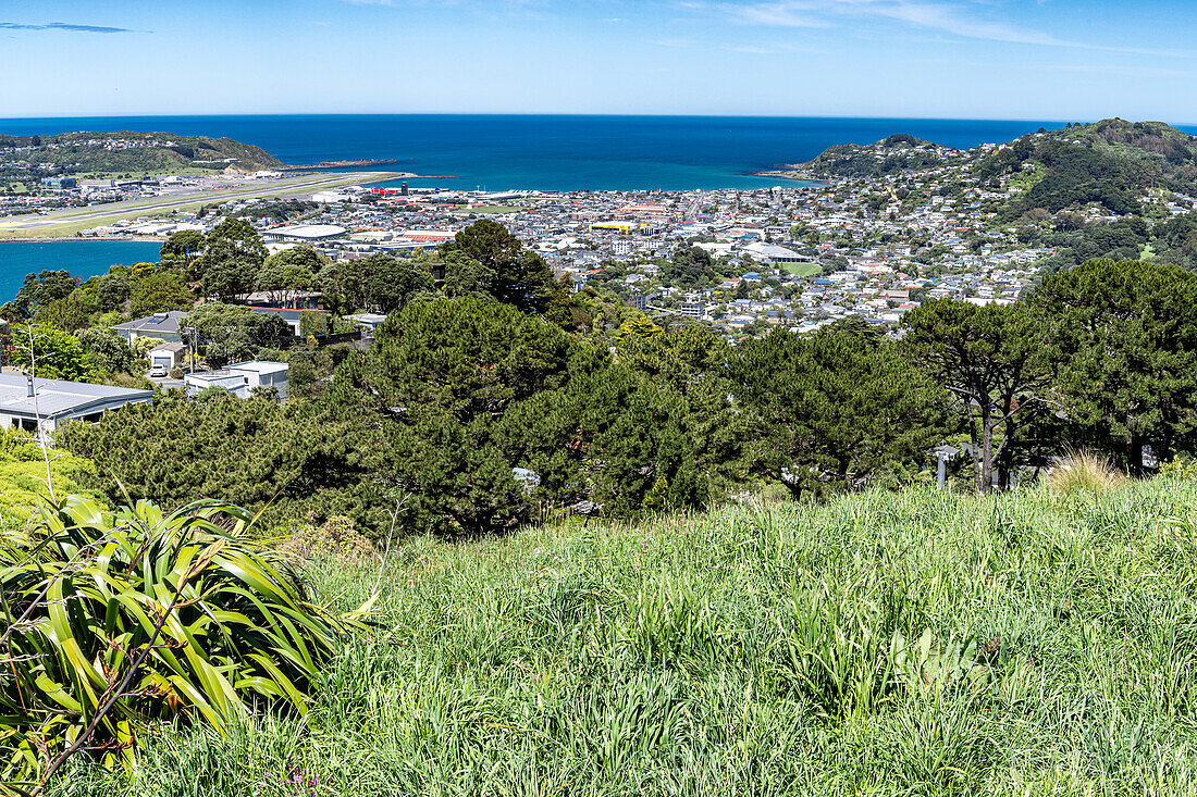 Summit of Mt. Victoria outside Wellington New Zealand with a cannon , totems and spectacular views.