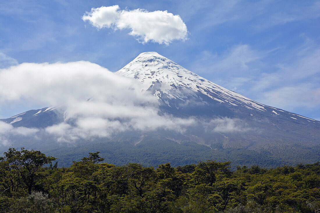 Chile; Südchile; Region Los Lagos; zwischen dem Lago Llanquihue und dem Lago Todos Los Santos; Nationalpark Vicente Perez Rosales; bei Petrohue; Blick auf den Vulkan Osorno