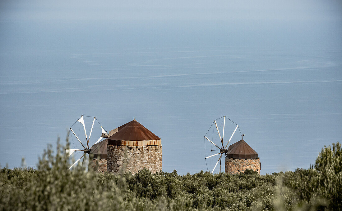 Alte Mühlen und Olivenbäume in Griechenland
