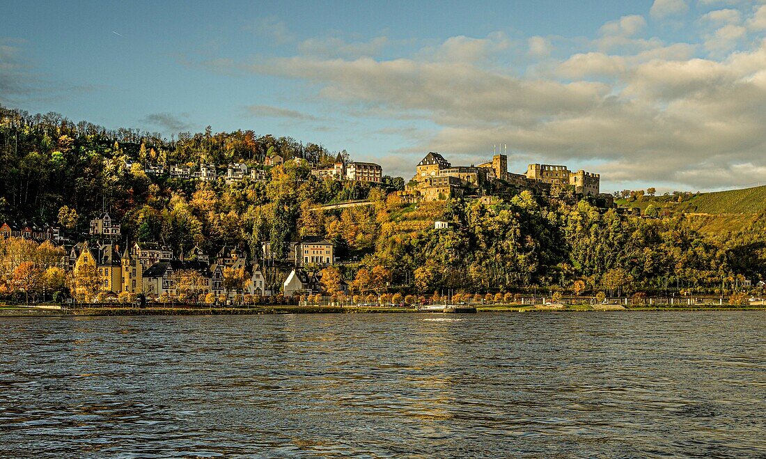 Herbststimmung am Rhein, Blick über den Rhein auf Burg Rheinfels in St. Goar, Oberes Mittelrheintal, Rheinland-Pfalz, Deutschland