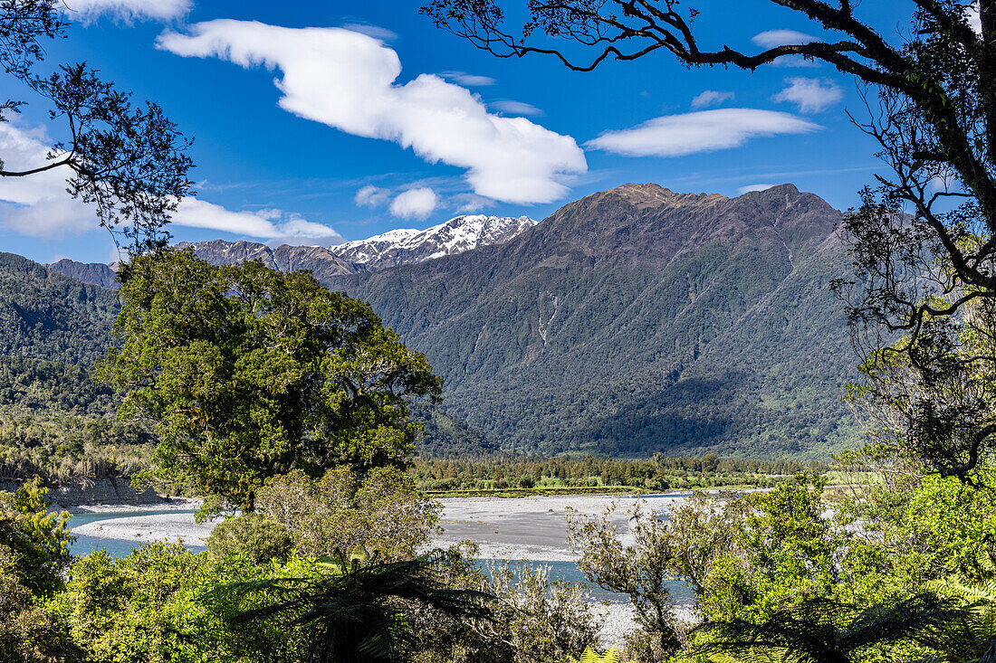 Türkisfarbenes Wasser fließt durch die Hokitika Gorge inmitten üppiger Vegetation und Felsformationen, Südinsel von Neuseeland