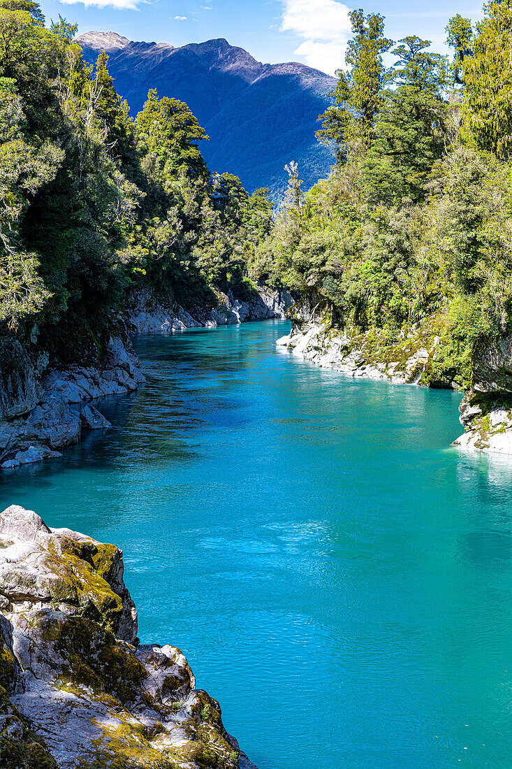 Türkisfarbenes Wasser fließt durch die Hokitika Gorge inmitten üppiger Vegetation und Felsformationen, Südinsel von Neuseeland
