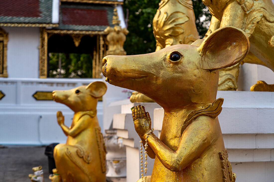 Ratten Statuen bewachen den buddhistischen Tempel Wat Phra That Si in Chom Thong, Thailand, Asien  