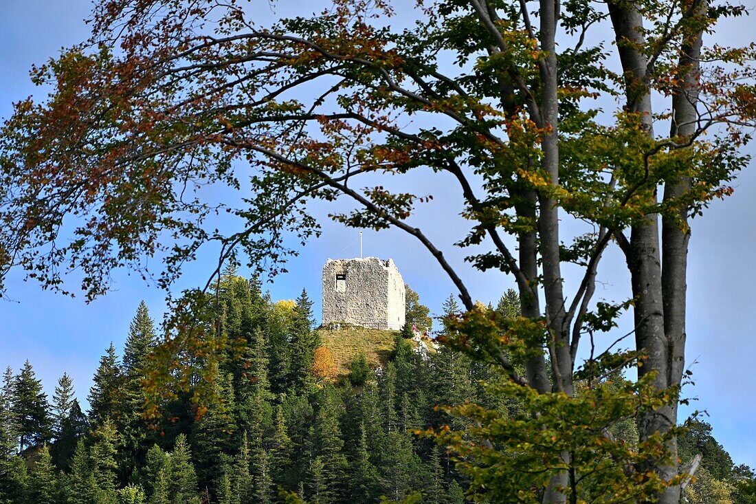 Burgruine Falkenstein über Pfronten, Ost- Allgäu, Schwaben, Bayern, Deutschland