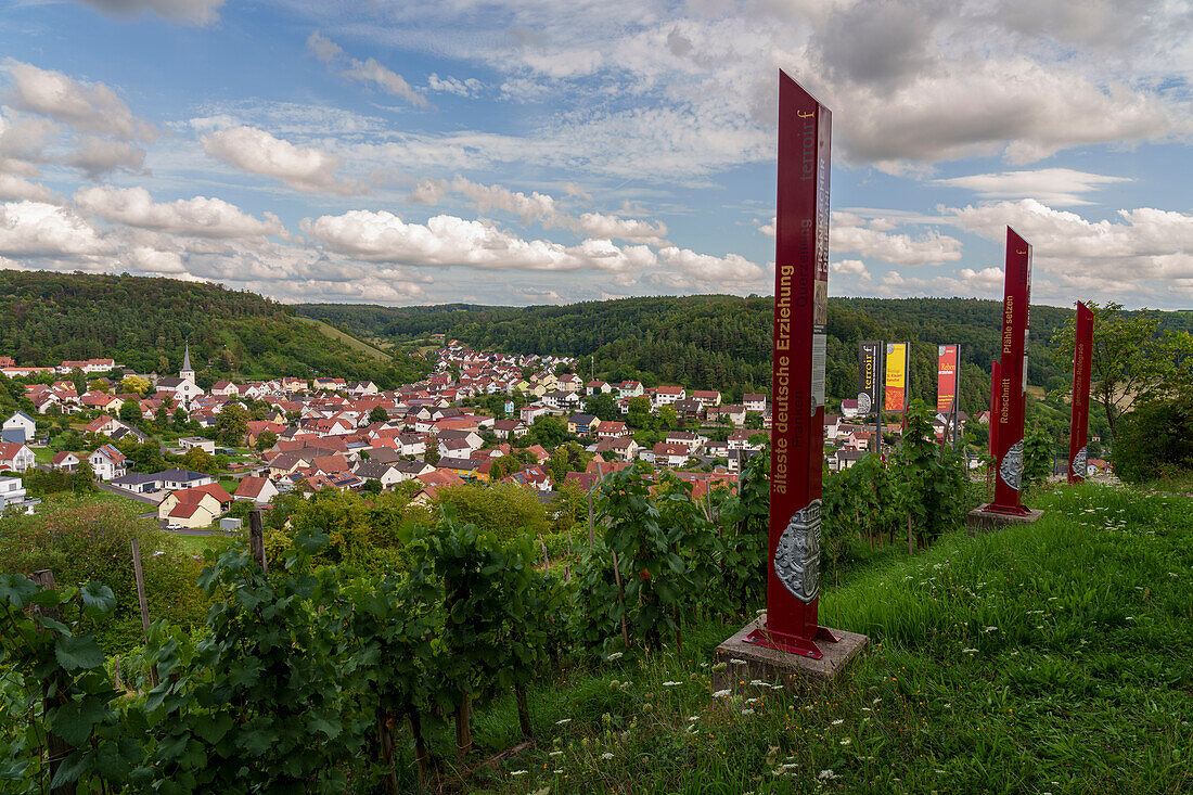 Das Terroir f in den Weinbergen von Ramsthal im Abendlicht, Landkreis Bad Kissingen, Franken, Unterfranken, Bayern, Deutschland