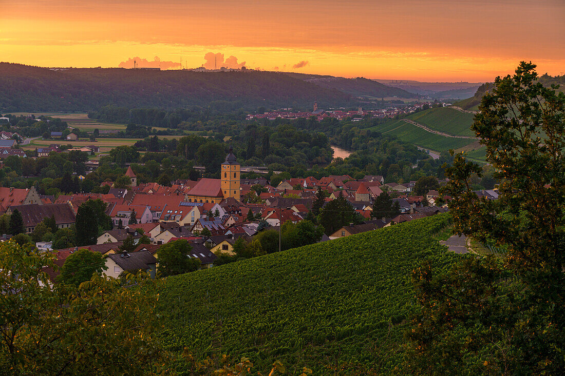 Evening mood over Sommerhausen am Main and its vineyards, Würzburg district, Franconia, Lower Franconia, Bavaria, Germany