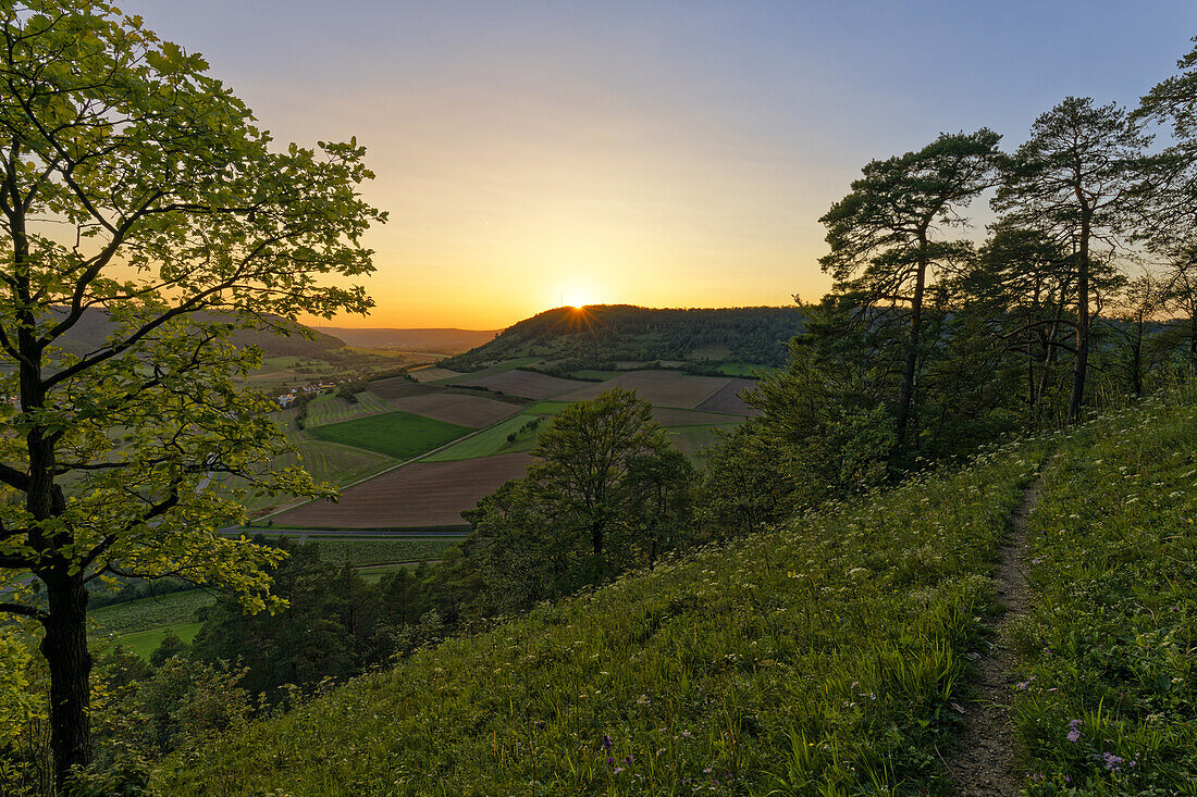 Blick von den Weinbergen von Ramsthal auf den Haarberg im Abendlicht, Landkreis Bad Kissingen, Franken, Unterfranken, Bayern, Deutschland