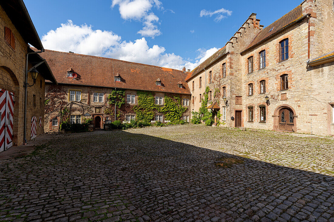 Saaleck Castle near the wine town of Hammelburg, Bad Kissingen district, Lower Franconia, Franconia, Bavaria, Germany