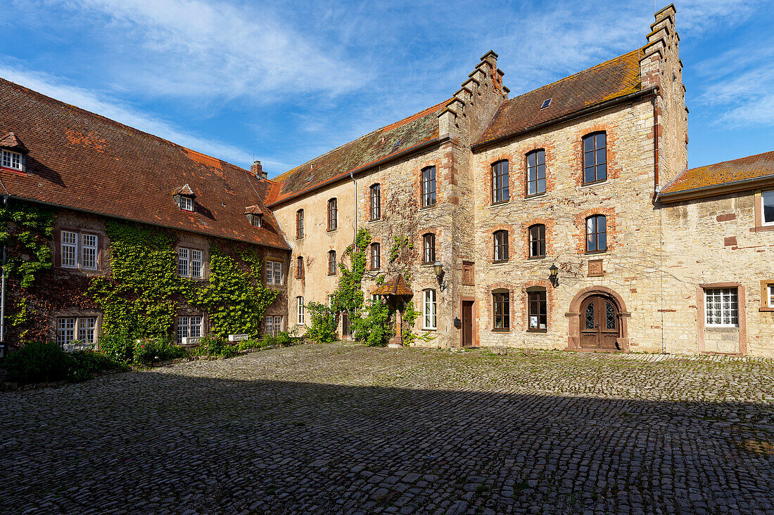 Saaleck Castle near the wine town of Hammelburg, Bad Kissingen district, Lower Franconia, Franconia, Bavaria, Germany