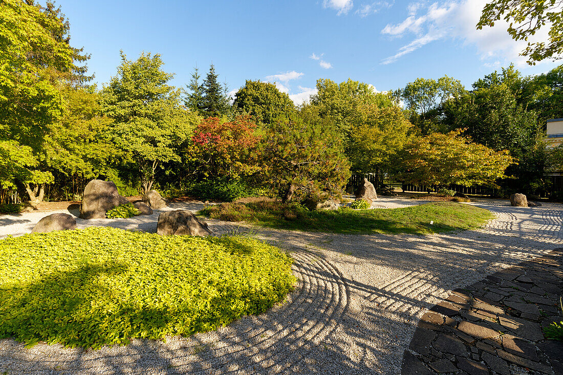 Der Japanische Garten im Schlosspark Moritzburg in Zeitz, Burgenlandkreis, Sachsen-Anhalt, Deutschland