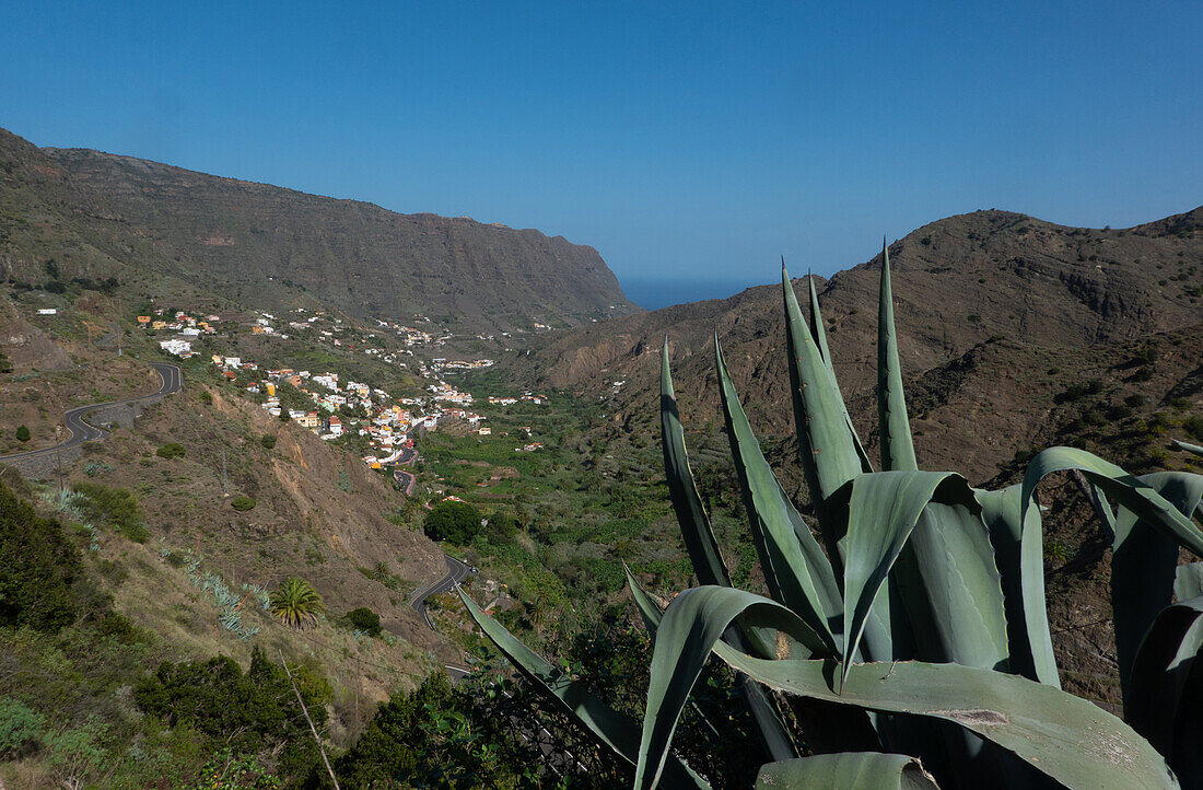 An Agaven vorbei fällt der Blick von oben auf Hermigua und das zum Meer führende Tal Barranca de Montefort, La Gomera, Kanarische Inseln, Spanien