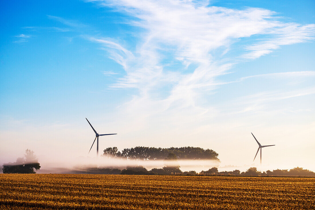 Wind turbines in the morning light, Schleswig-Holstein
