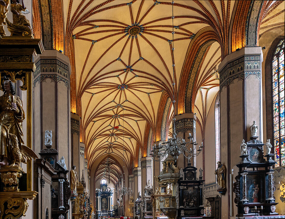 Interior of the Cathedral (Frauenburg Cathedral) in Frombork (Frauenburg) in the Warmińsko-Mazurskie Voivodeship of Poland