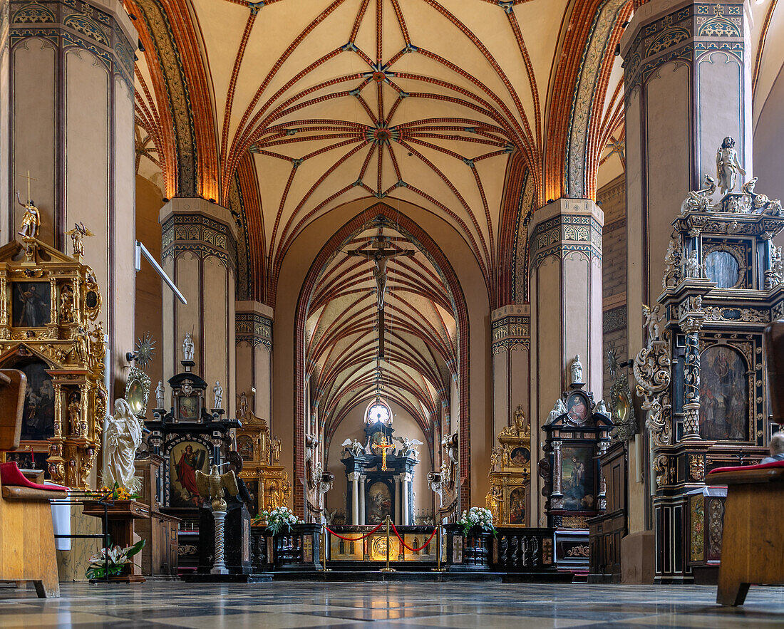 Innenraum der Kathedrale (Frauenburger Dom) in Frombork (Frauenburg) in der Wojewodschaft Warmińsko-Mazurskie in Polen