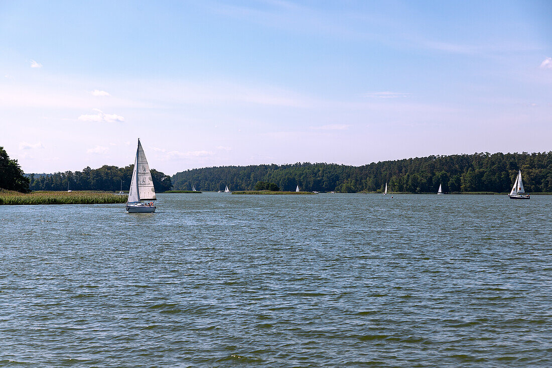 Sailing boats on the Jezioro Mikołajskie (Lake St. Nicholas) in Masuria (Mazury) in the Warmińsko-Mazurskie Voivodeship of Poland