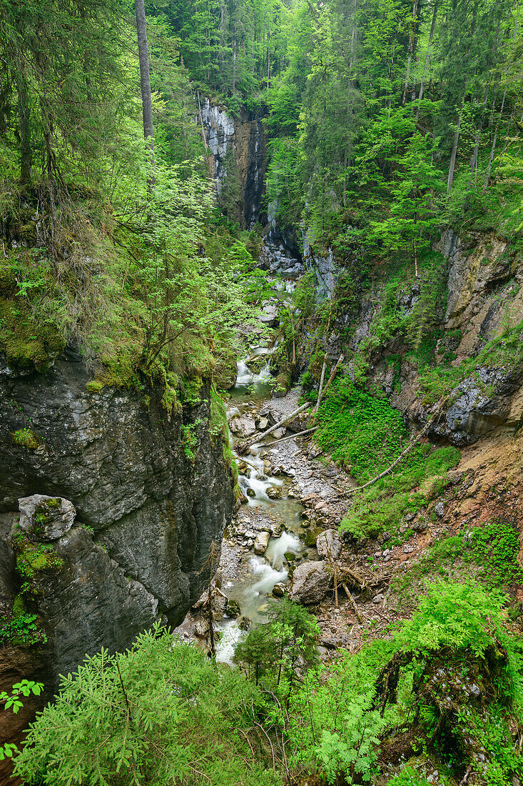 Blick in die Schwarzenbergklamm, Unken, Route der Klammen, Chiemgauer Alpen, Salzburg, Österreich