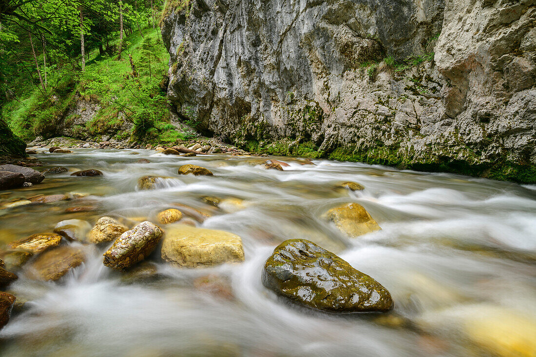 Bach Wildschönauer Ache fließt durch Kundler Klamm, Wildschönau, Kitzbüheler Alpen, Tirol, Österreich 