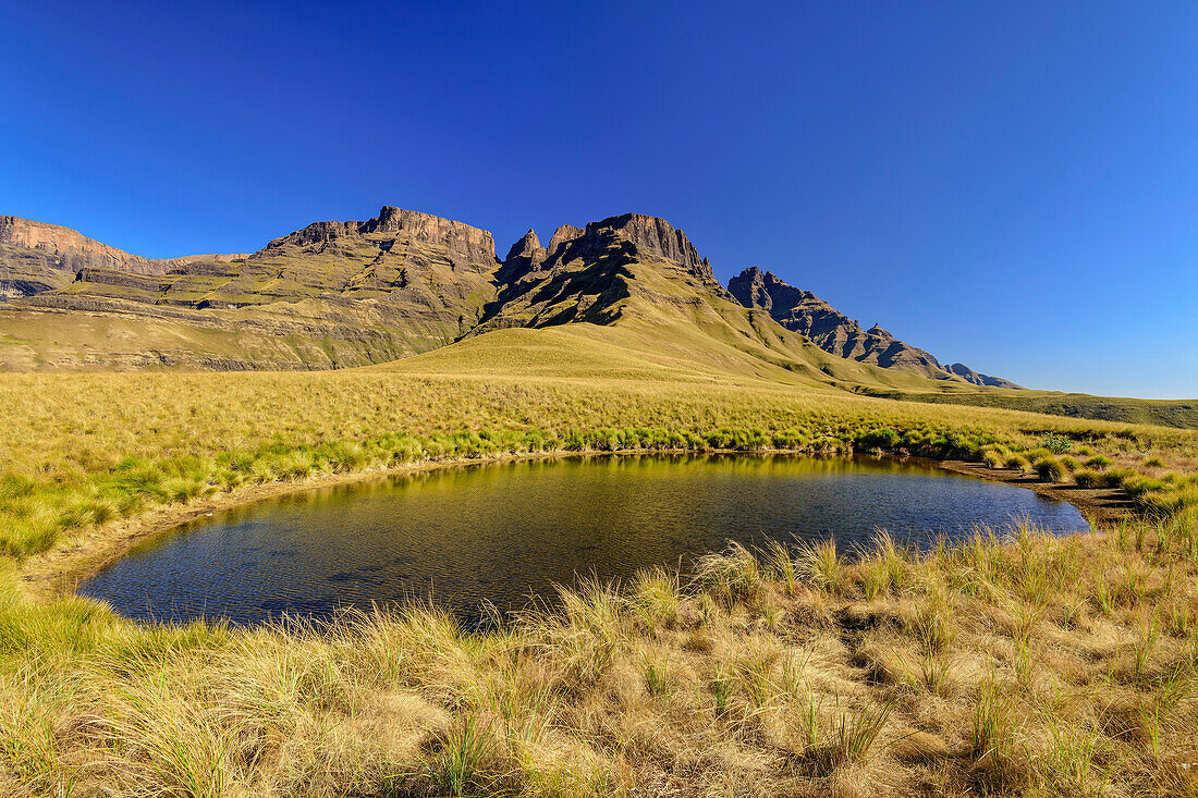 Bergsee am Shada Ridge mit Champagne Castle im Hintergrund, Injasuthi, Drakensberge, Kwa Zulu Natal, UNESCO Welterbe Maloti-Drakensberg, Südafrika