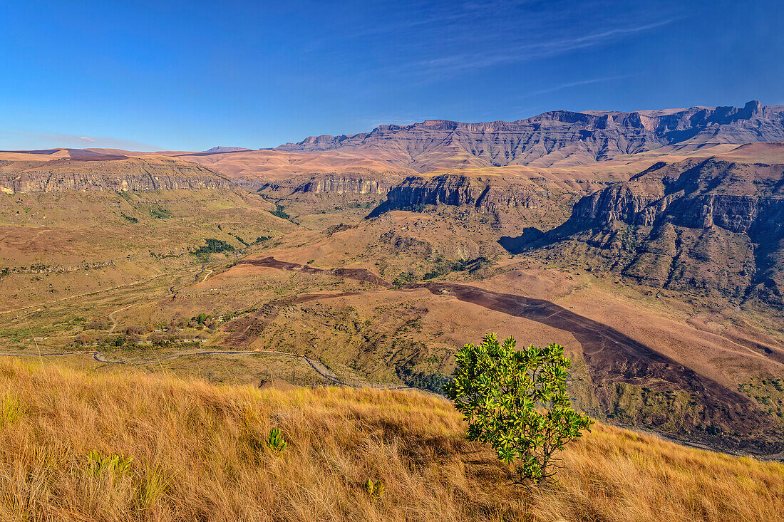 Tiefblick auf Talkessel von Injasuthi, Van Heyningenspass, Injasuthi, Drakensberge, Kwa Zulu Natal, UNESCO Welterbe Maloti-Drakensberg, Südafrika