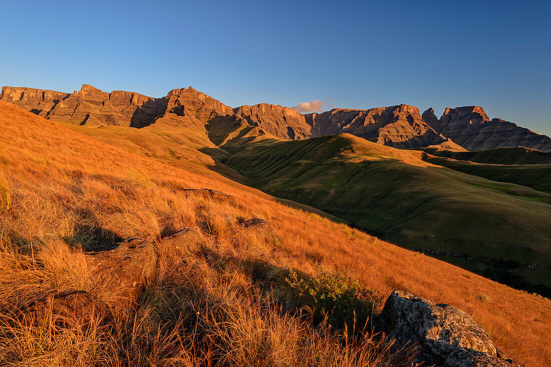 Drakensberg with Champagne Castle, Injasuthi, Drakensberg, Kwa Zulu Natal, UNESCO World Heritage Site Maloti-Drakensberg, South Africa