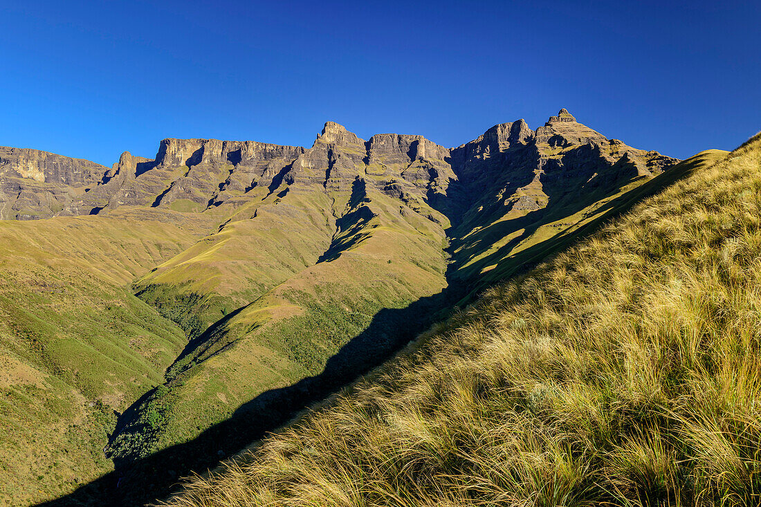 Drakensberg with summit Old Woman Grinding Corn, Contour Path, Injasuthi, Drakensberg, Kwa Zulu Natal, UNESCO World Heritage Site Maloti-Drakensberg, South Africa