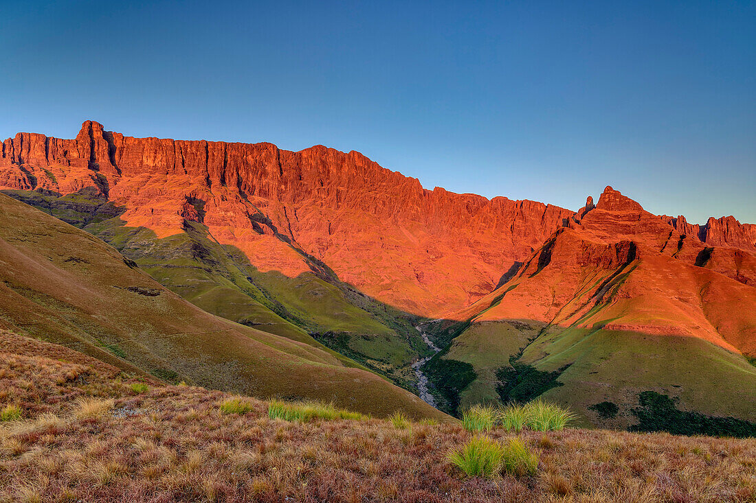 Alpenglühen an den Drakensbergen mit Cleft Peak und The Pyramid, Organ Pipes Pass, Didima, Cathedral Peak, Drakensberge, Kwa Zulu Natal, UNESCO Welterbe Maloti-Drakensberg, Südafrika