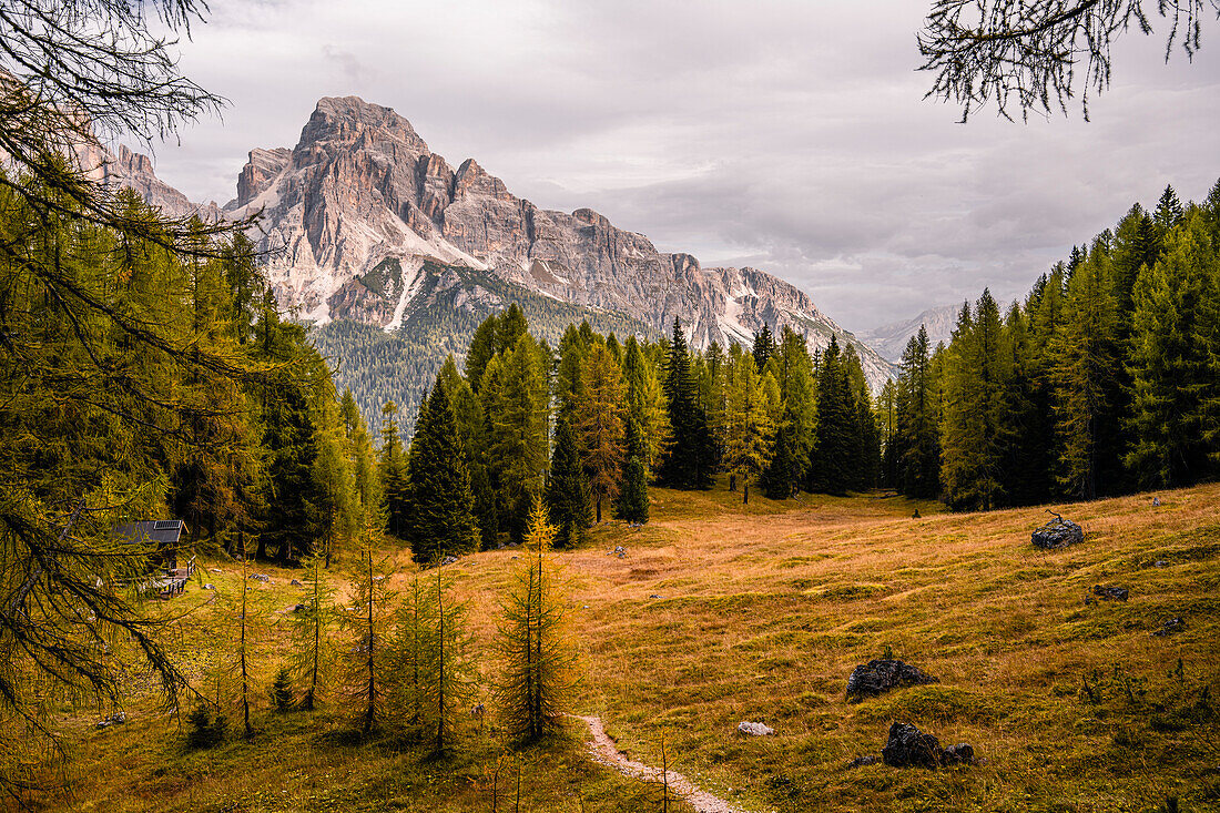 Bergwanderung zur Berghütte Croda da Lago um den Bergsee Lago Federa, Dolomiten, UNESCO Weltnaturerbe Dolomiten, Venetien, Venezien, Italien